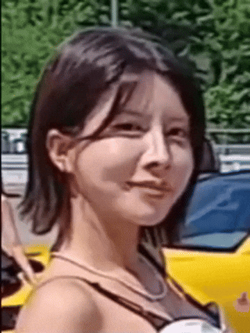 Model GIF