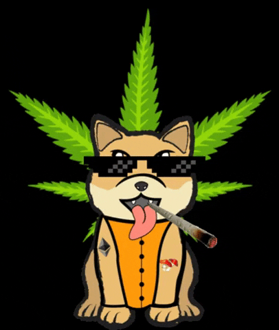 Shiba Boys Eth GIF