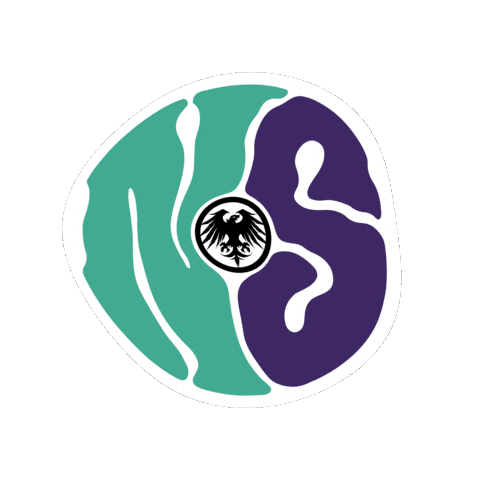 Ns Sticker by Never Summer Industries