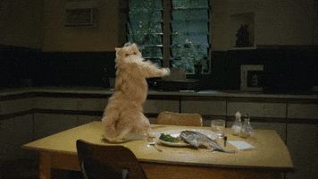 Digital art gif. A cat looks over its shoulder as it shakes its tail at us from a table set with a plate of fish.