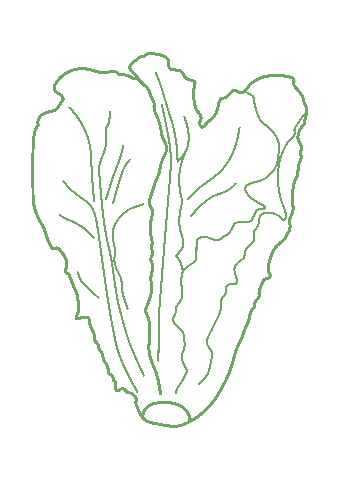 Lettuce Veggie Patch Sticker by Common Stitch