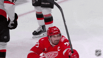 Happy Red Wings GIF by NHL