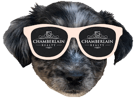 Real Estate Realtor Sticker by Chamberlain Realty LLC