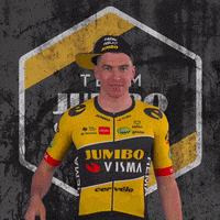 Tour De France Hat GIF by Team Jumbo-Visma
