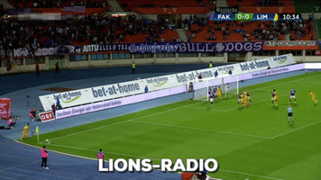 lions-radio  GIF