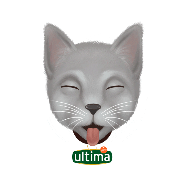 Gato GIFs on GIPHY - Be Animated