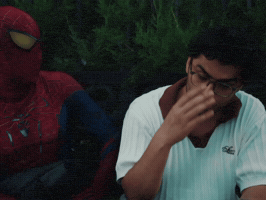 Spider Man Batman GIF