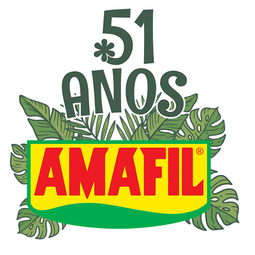 51 Anos Amafil Sticker by Amafil