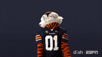 College Football No GIF by DISH
