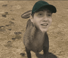 Phen Gix GIF