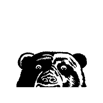 northsydneybears Sticker