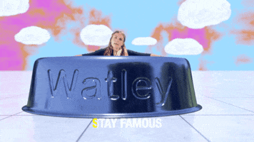 Youre Famous Sub Pop GIF by Sub Pop Records
