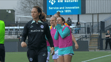 Lets Go Cheer GIF by National Women's Soccer League