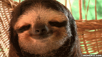 200_s.gif