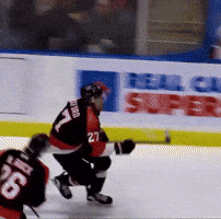 Whl GIF