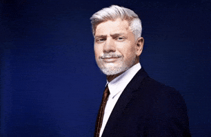 Czech Prezident GIF