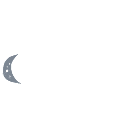 Moon Sticker