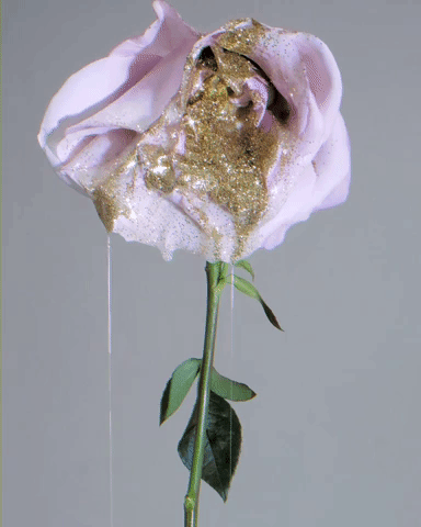 Dripping glittery rose - GIPHY Clips