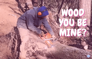 Valentines Day Chainsaw GIF by JC Property Professionals