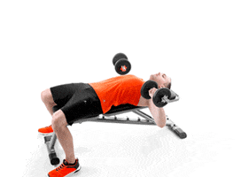 Kings suplementos GIF