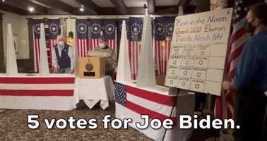 New Hampshire GIF by Election 2020