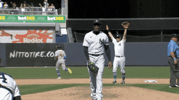 New York Yankees Wow GIF by Jomboy Media