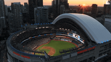 Rogers Centre Baseball GIF by Toronto Blue Jays
