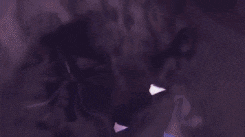 forgotenlove13 random anime couples GIF