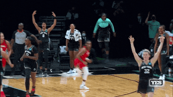 Jumping New York GIF by WNBA
