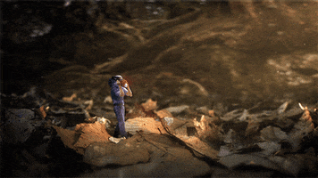 Hidden Kingdoms Wildlife GIF by BBC Knowledge Australia