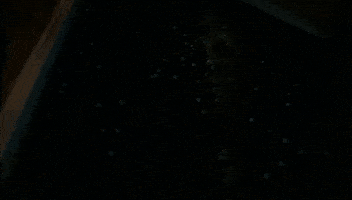 x files GIF by The X-Files