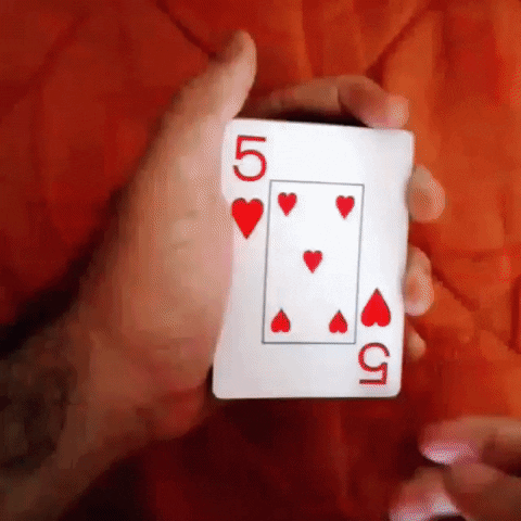 rocha rochatrickgif GIF