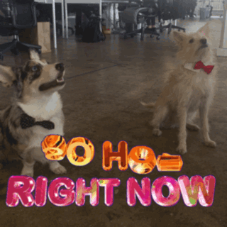 Photoshoot GIF by GIPHY CAM - Find & Share on GIPHY