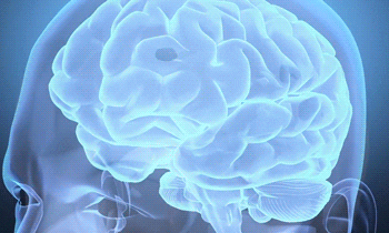 brain neuroscience GIF by University of California