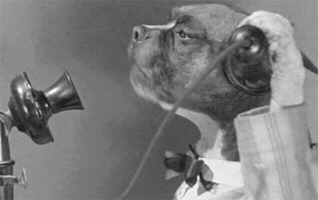estudiolets cerveja blumenau bastards GIF