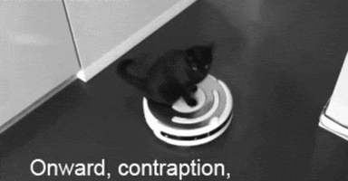 hobbit cat GIF