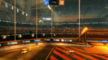 cup  GIF