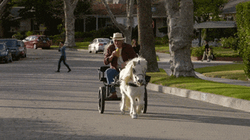 horse #lifeinpieces GIF by CBS