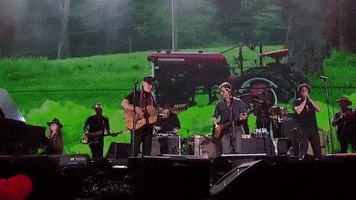 willie nelson concert GIF by Farm Aid