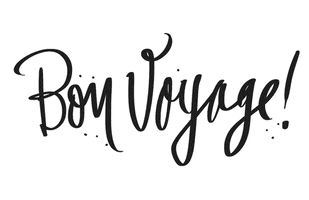Bon Voyage Lettering GIF by Denyse®