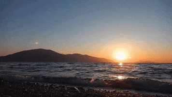 alekszakharov  GIF