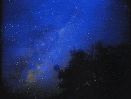 susannamarkinsn invisible show GIF