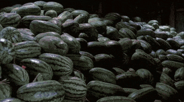 fetus  GIF
