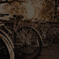 200.gif?cid=fc005b087b7c06c1c11217f7a06eb85974d1d800f8d10280&rid=200.gif&ct=g