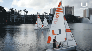 The U College GIF by Miami Hurricanes