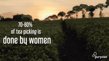 Purple Tea GIF by Rage Agency