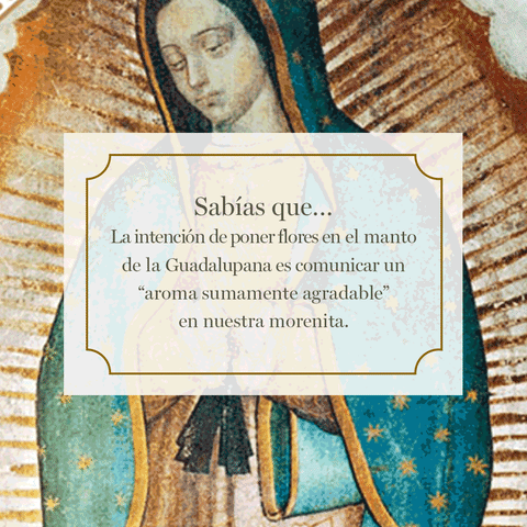 Virgen De Guadalupe GIF by Planeta de Libros México