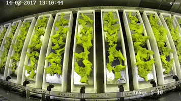 salade nourriture spatiale GIF by CNES