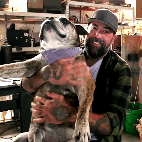 動物gif 犬 今日のgif