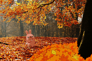 Fall Season Animation GIF by POKOPANG